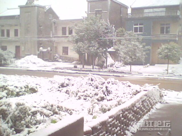 IMG0263A.jpg