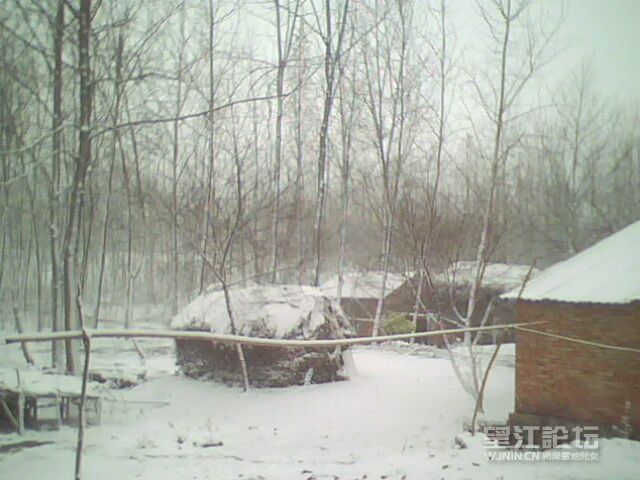 IMG0264A.jpg