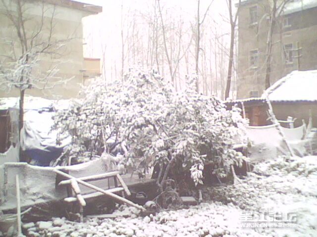 IMG0262A.jpg