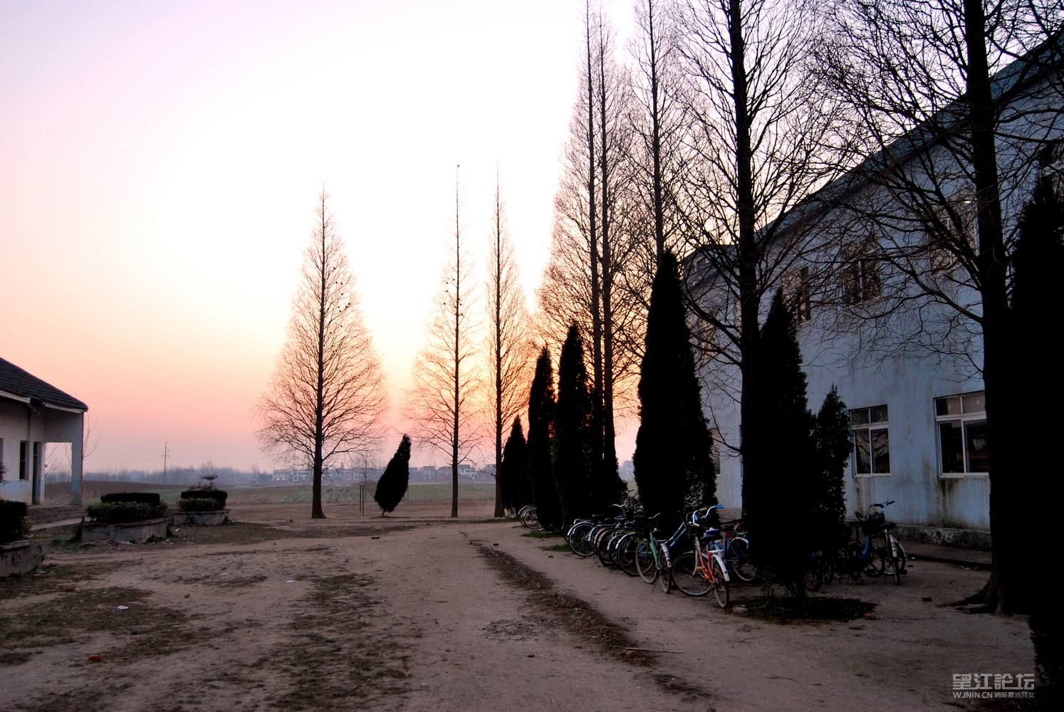 DSC_4374.jpg