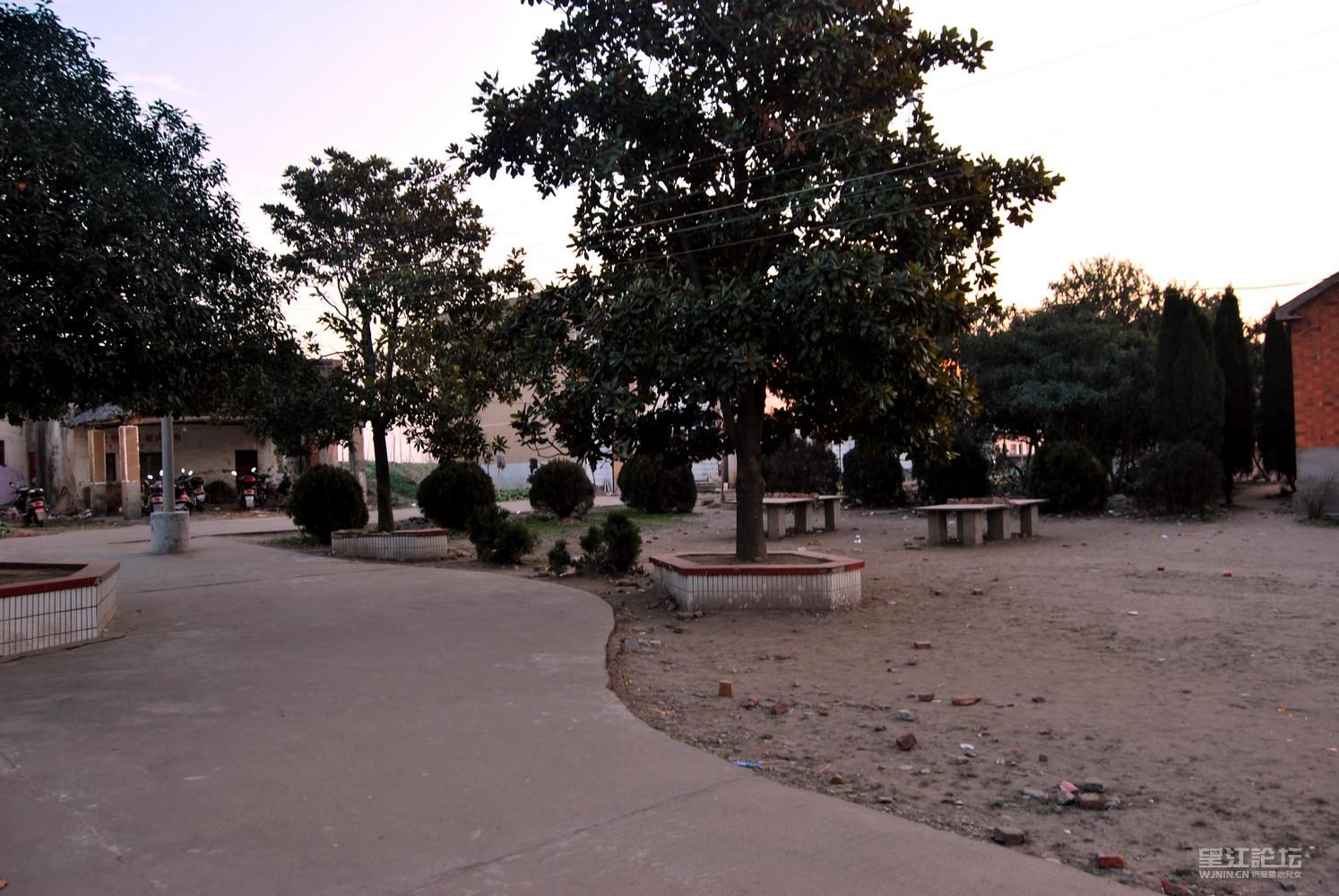 DSC_4415.jpg